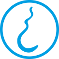 Whipworms icon
